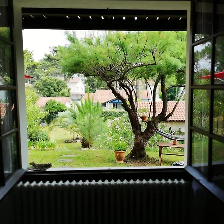 Viesna 公寓